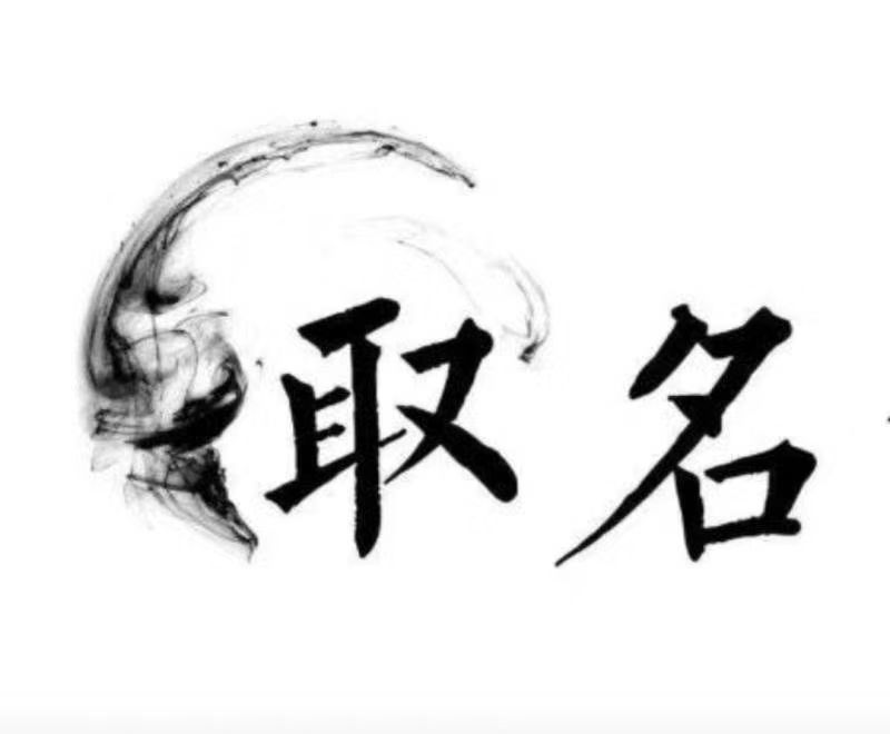  龙文宝宝取名 大师一对一人工起名
