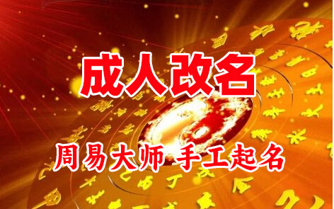 龙文成人改名-找大师一对一改名先分析后改名